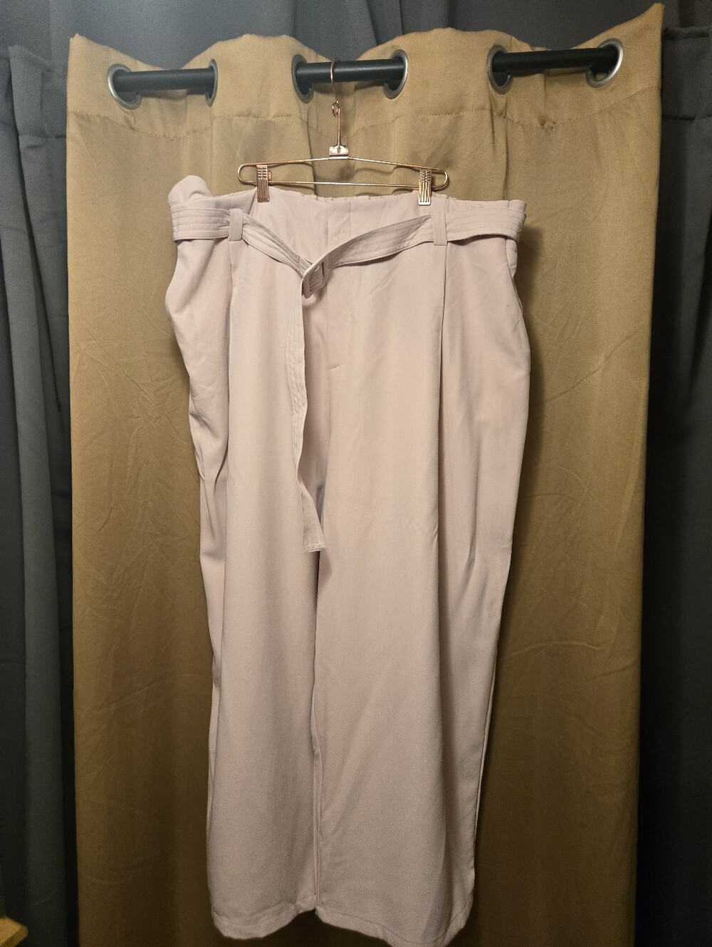 Cider Wide-Leg High-Waist Belt Pants - Pale Pink 4x